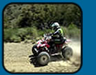 Quad biking in Barcelona